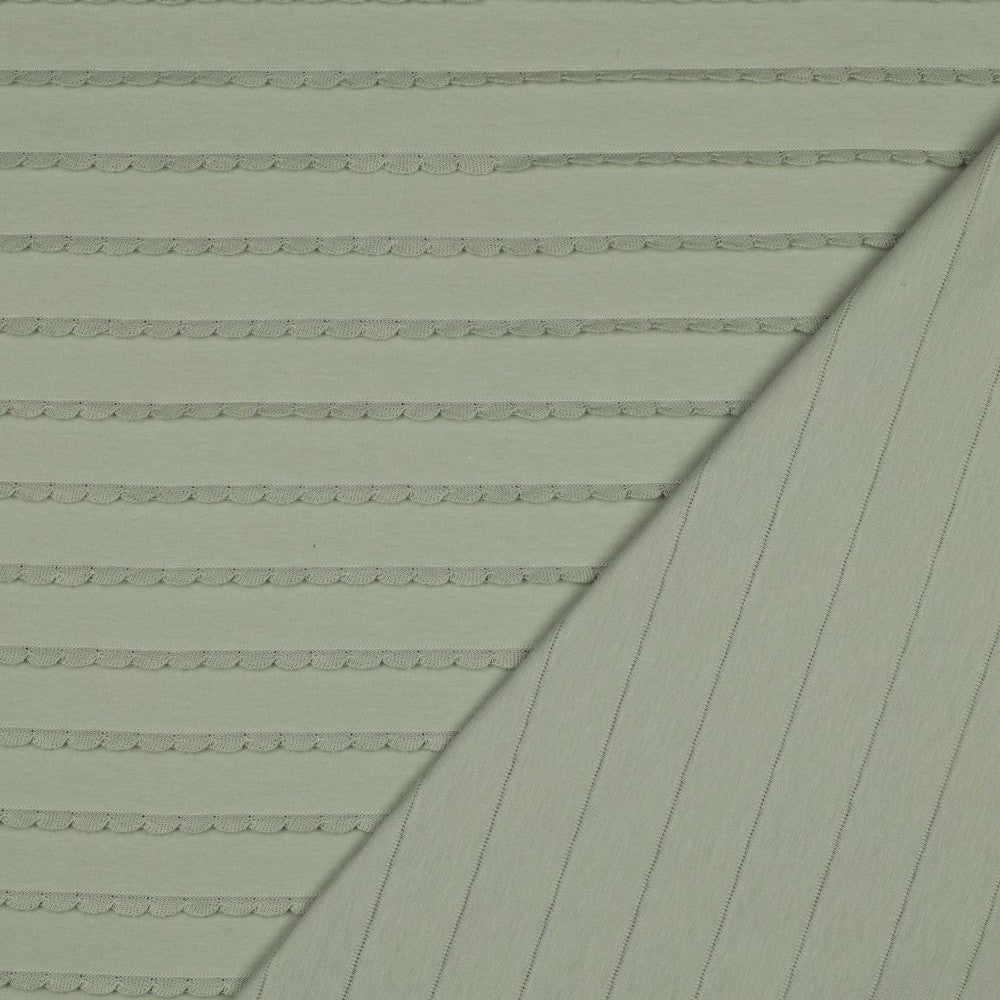 Sauge - Jersey dentelle