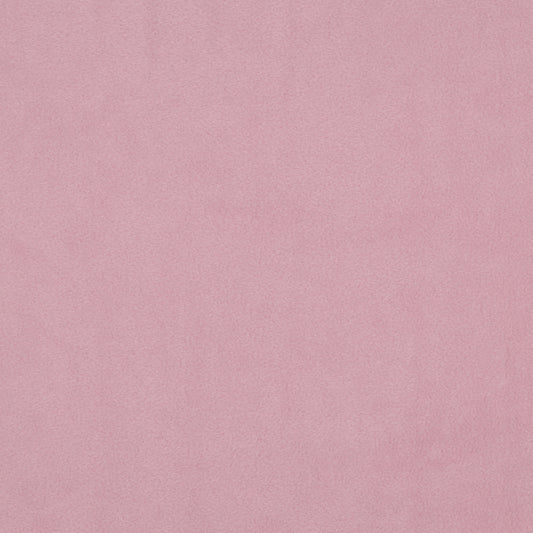 Lilas - Polaire (polar)