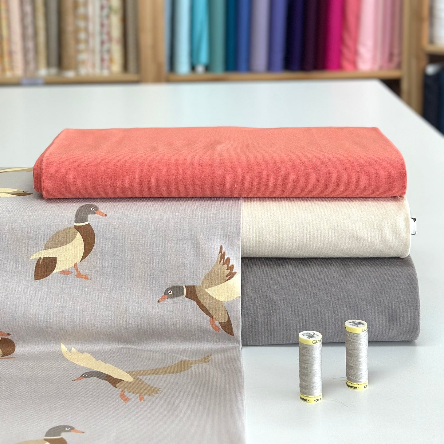 Sand duck - Printed French Terry