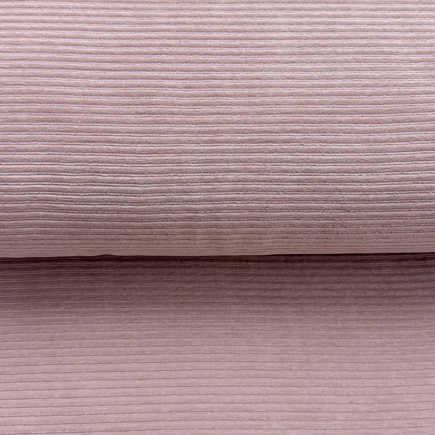 Rose charme - Jersey velours côtelé