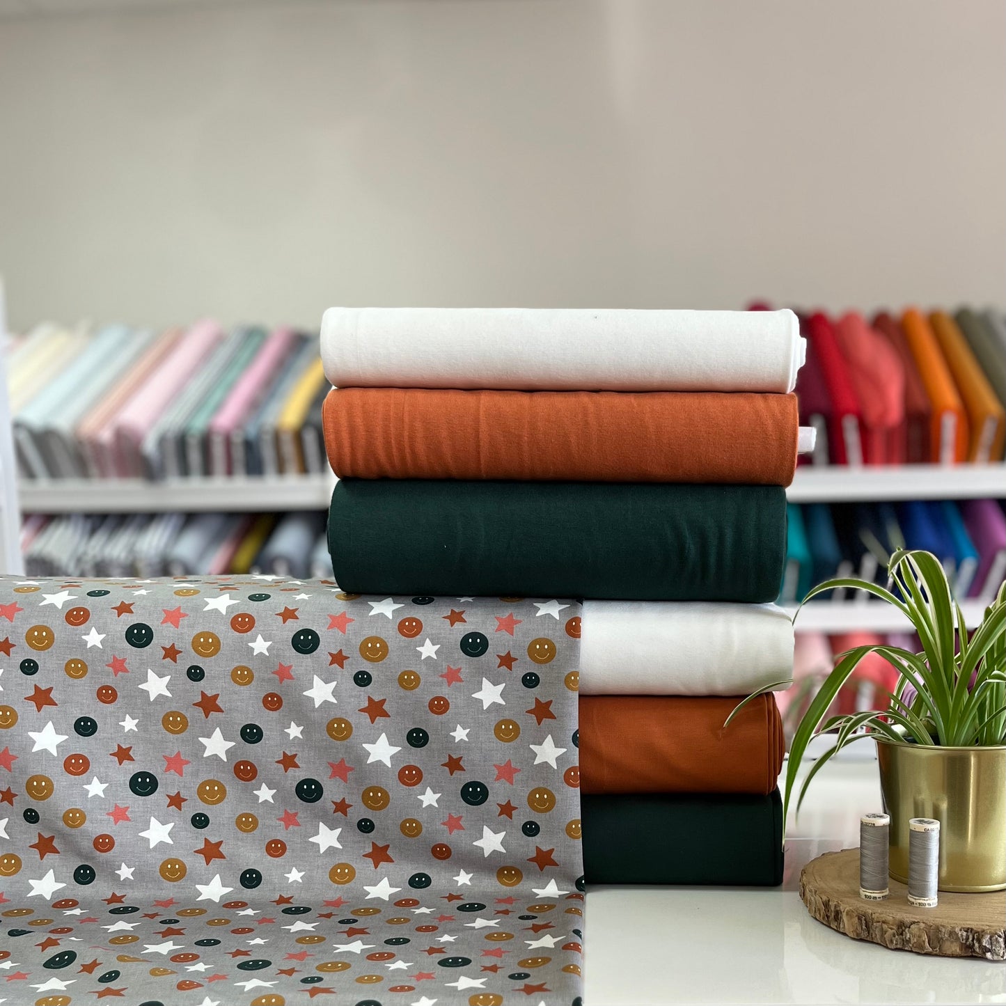 Sourires gris - NON NON OUI - French Terry imprimé