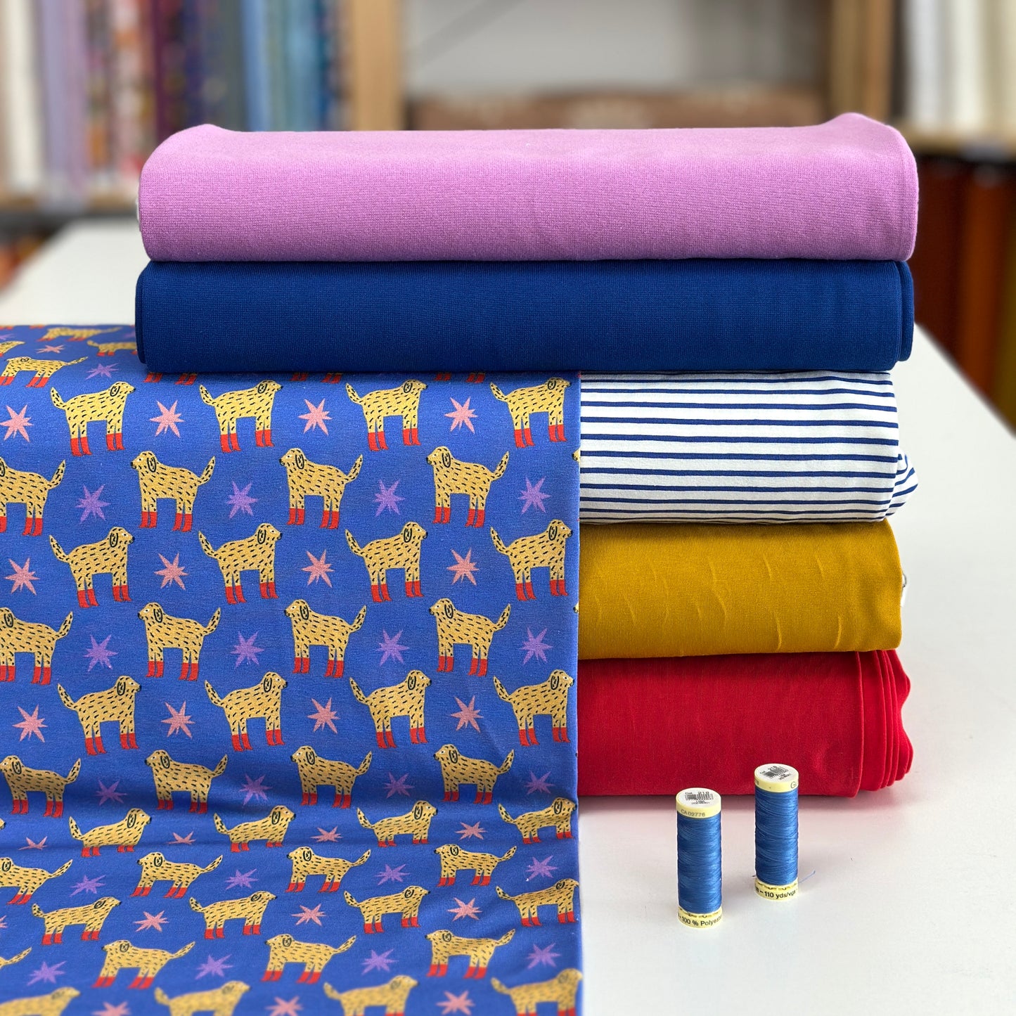 Chiens étoilés - NON NON OUI - Jersey imprimé