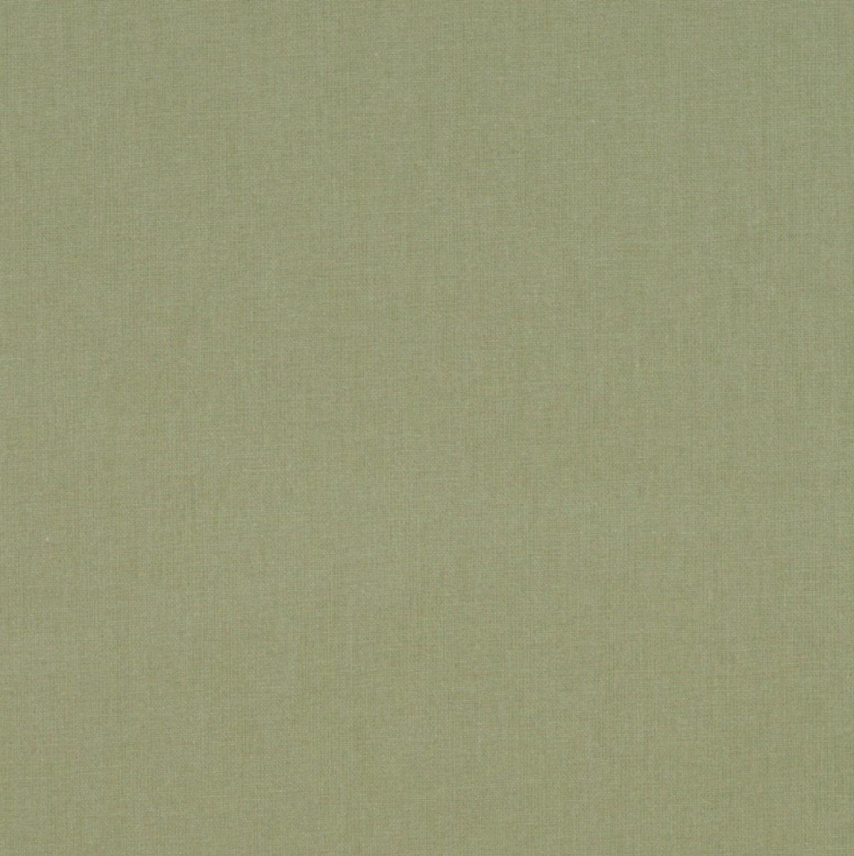 Vert doux - Coton enduit uni