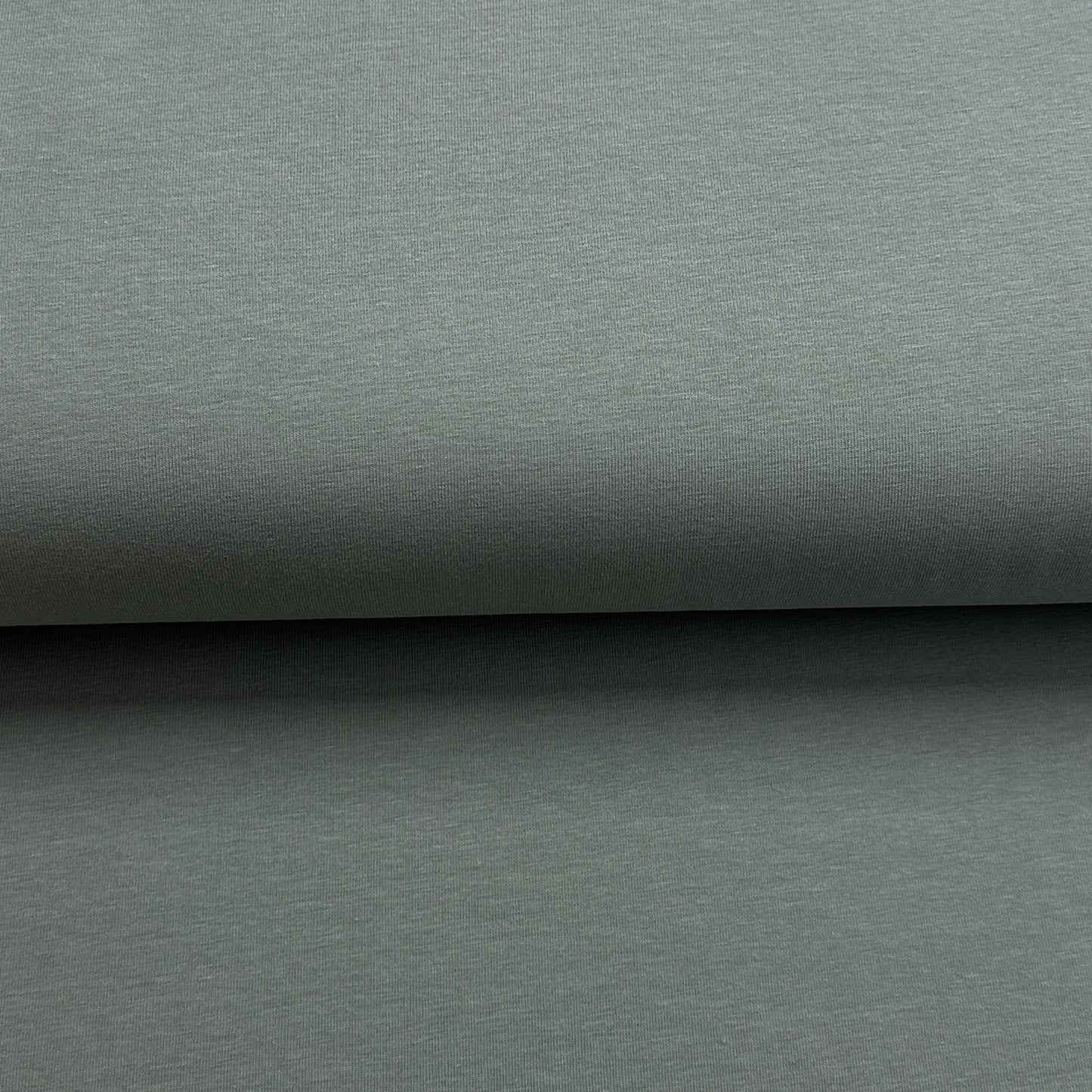 Vert poussière - Jersey uni biologique