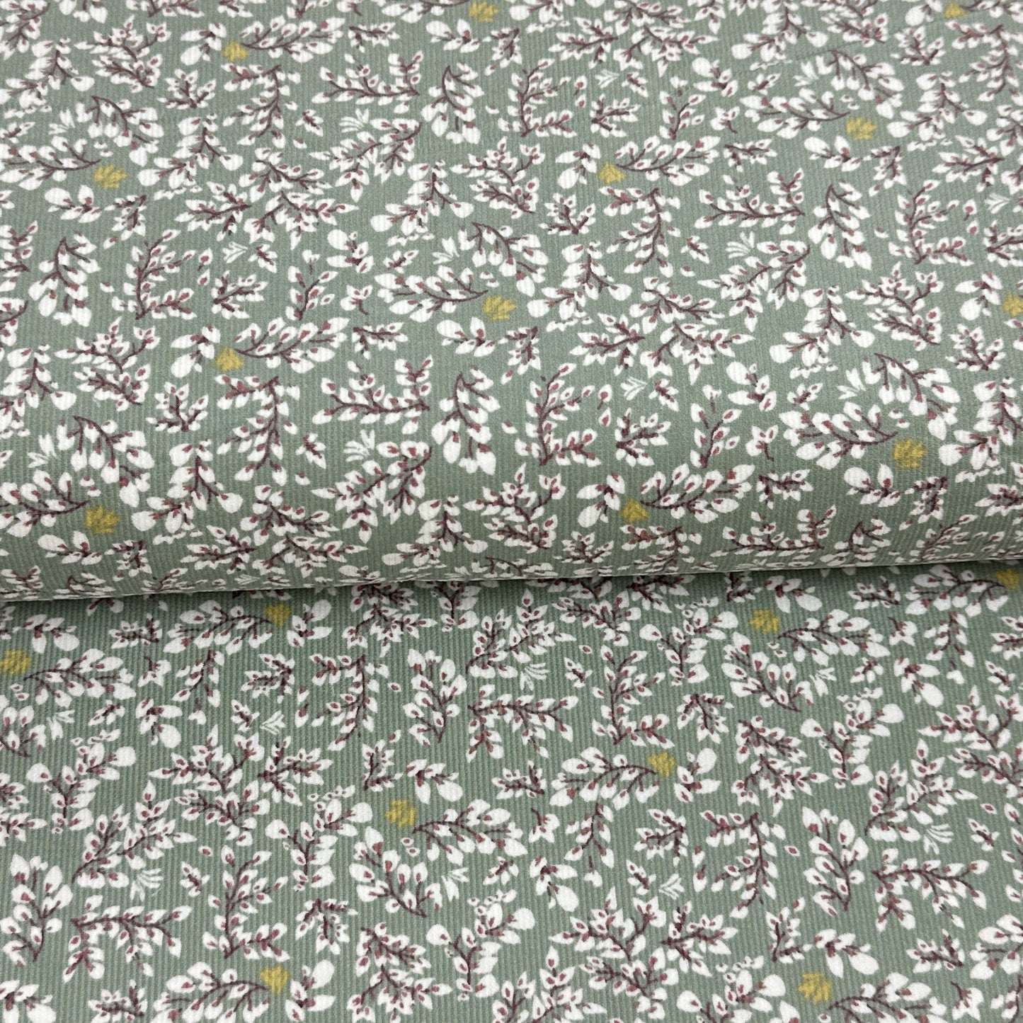 Calies - Velours côtelé (corduroy)