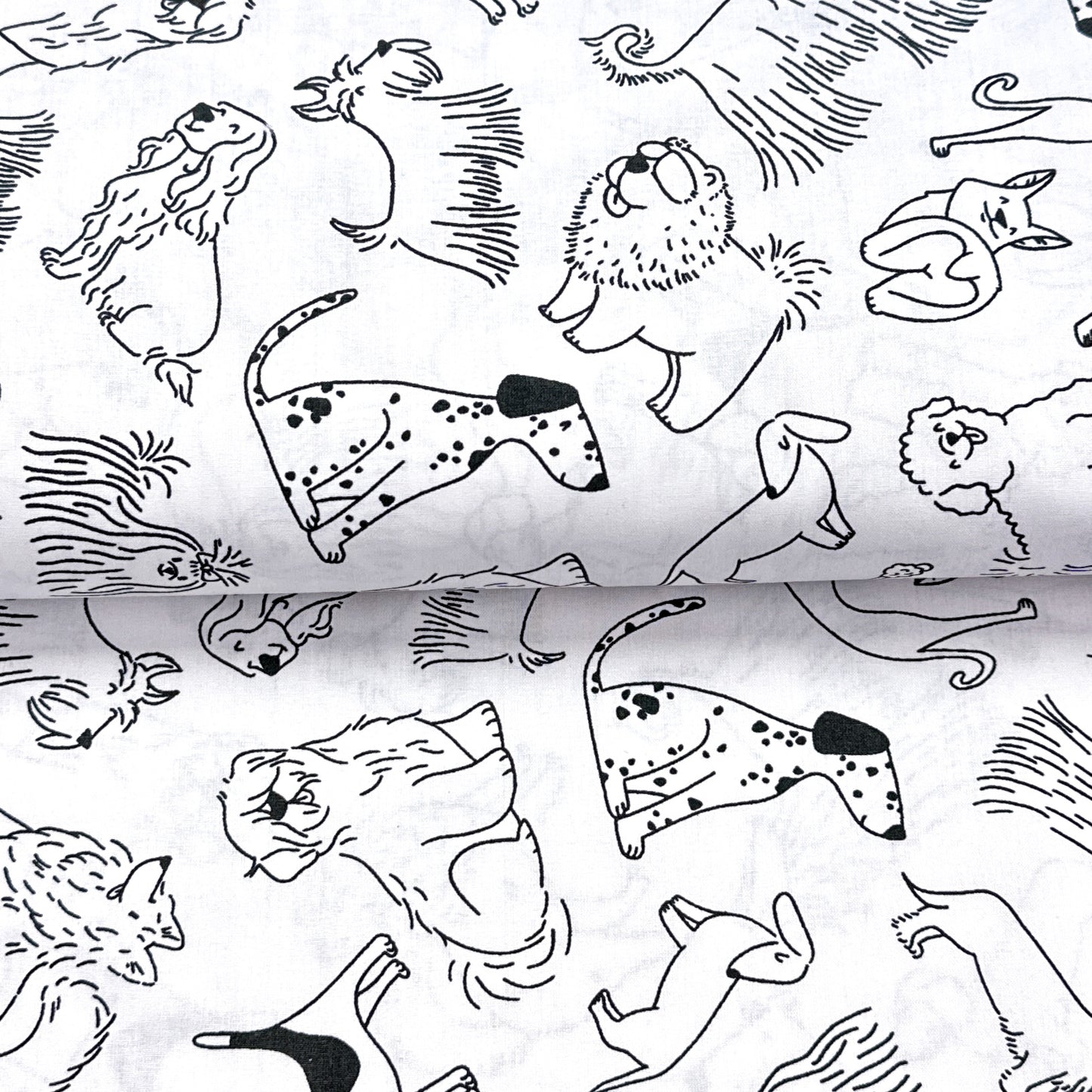 Barley - Coloring Cotton