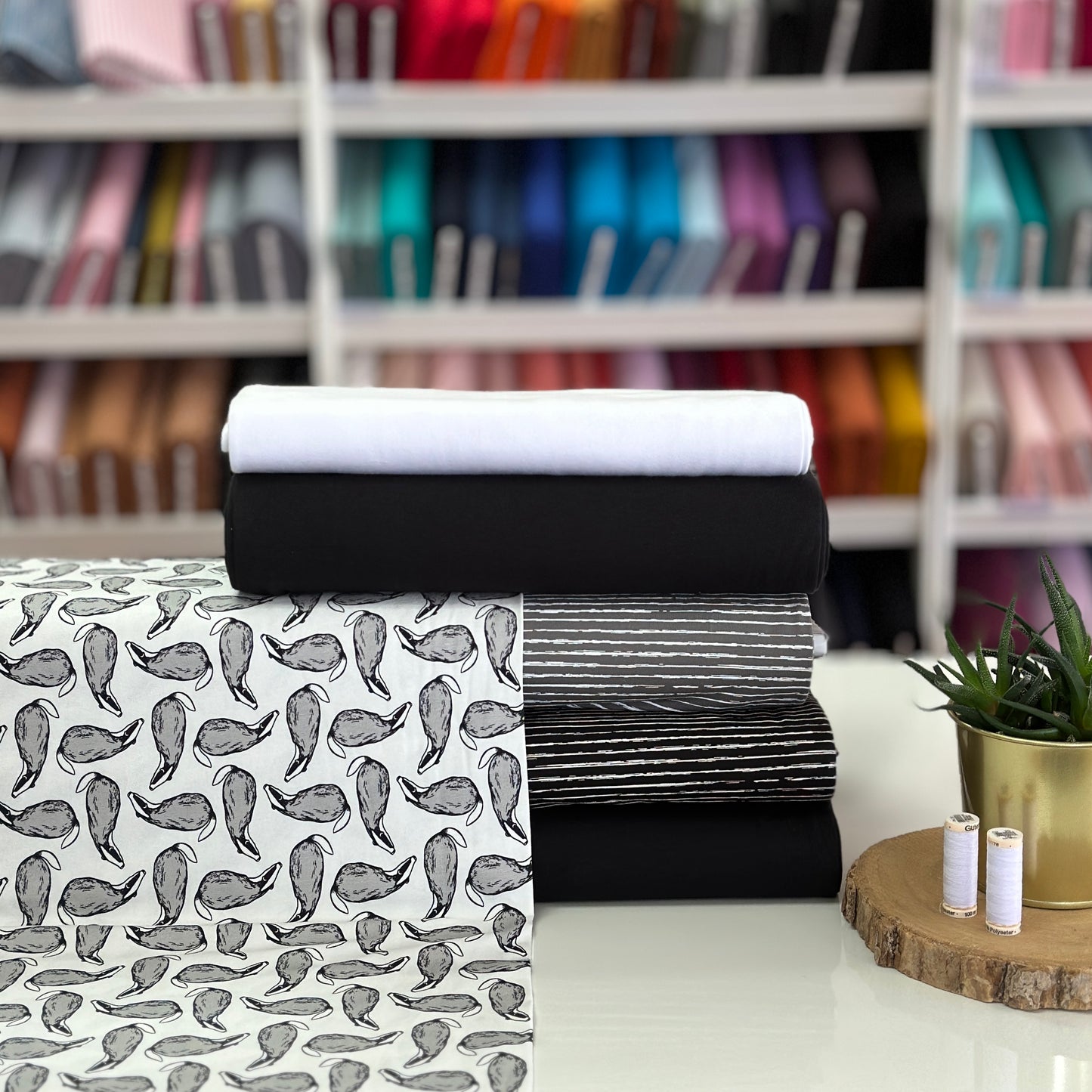 White badger - Printed jersey