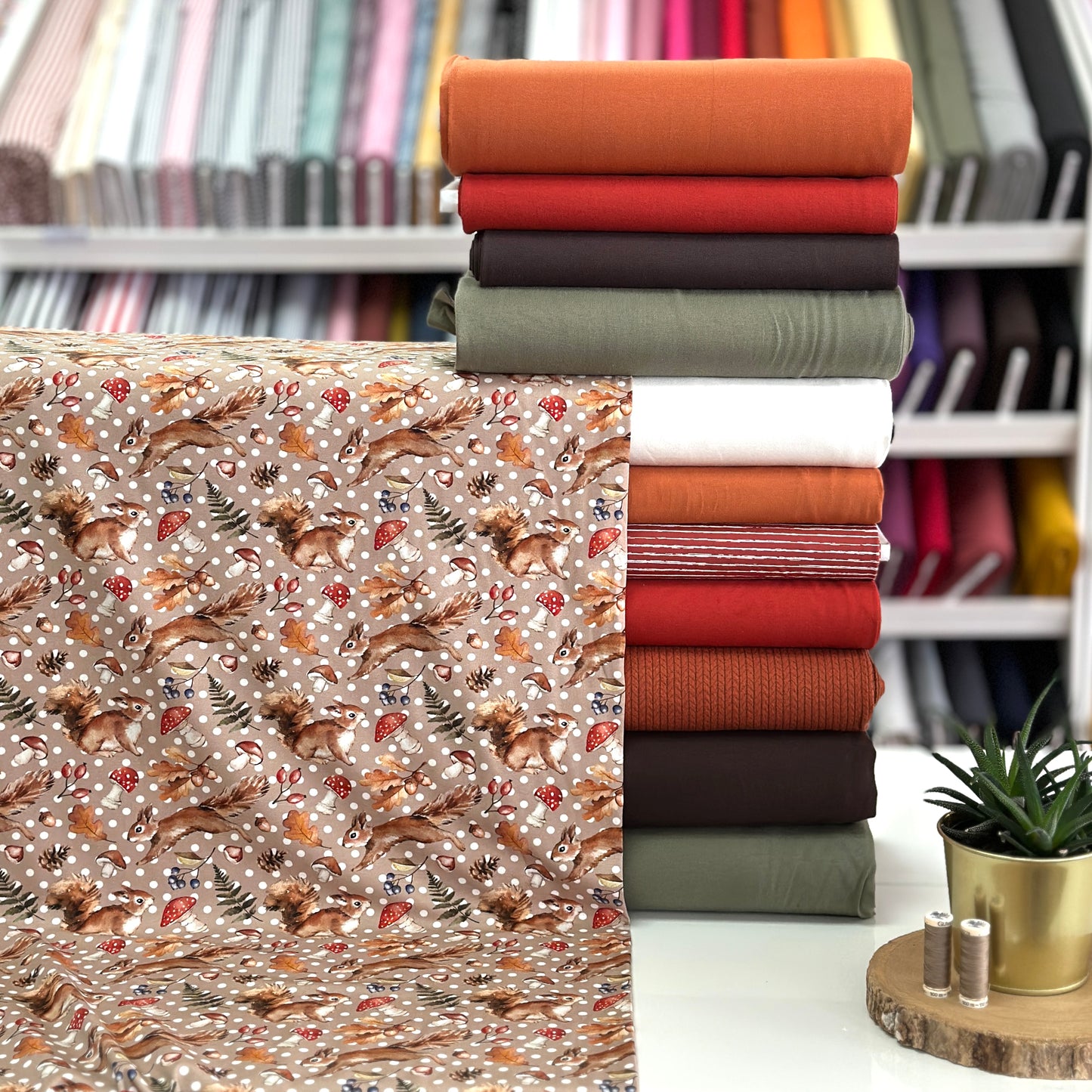 Polka dot squirrels - NON NON OUI - Printed jersey