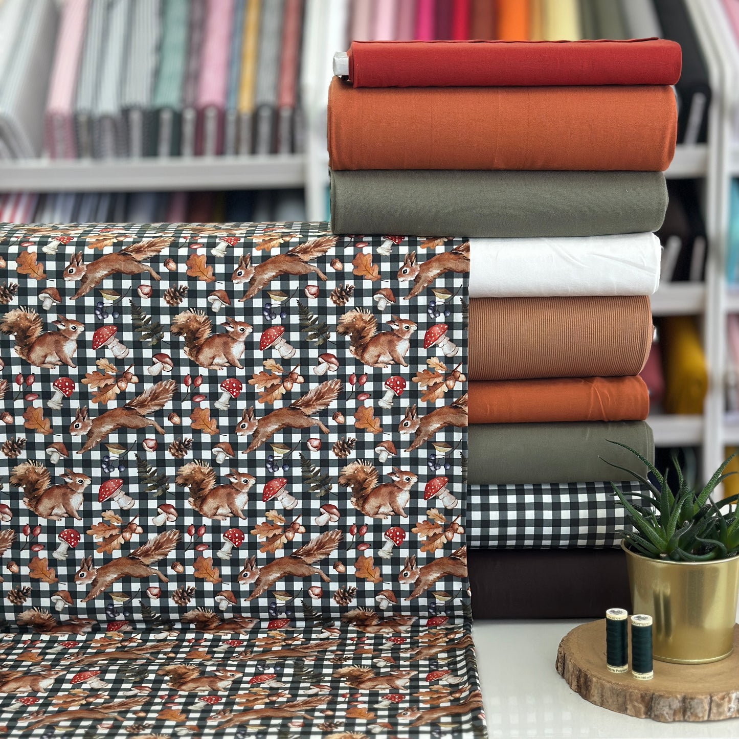 Checked squirrels - NON NON OUI - Printed jersey