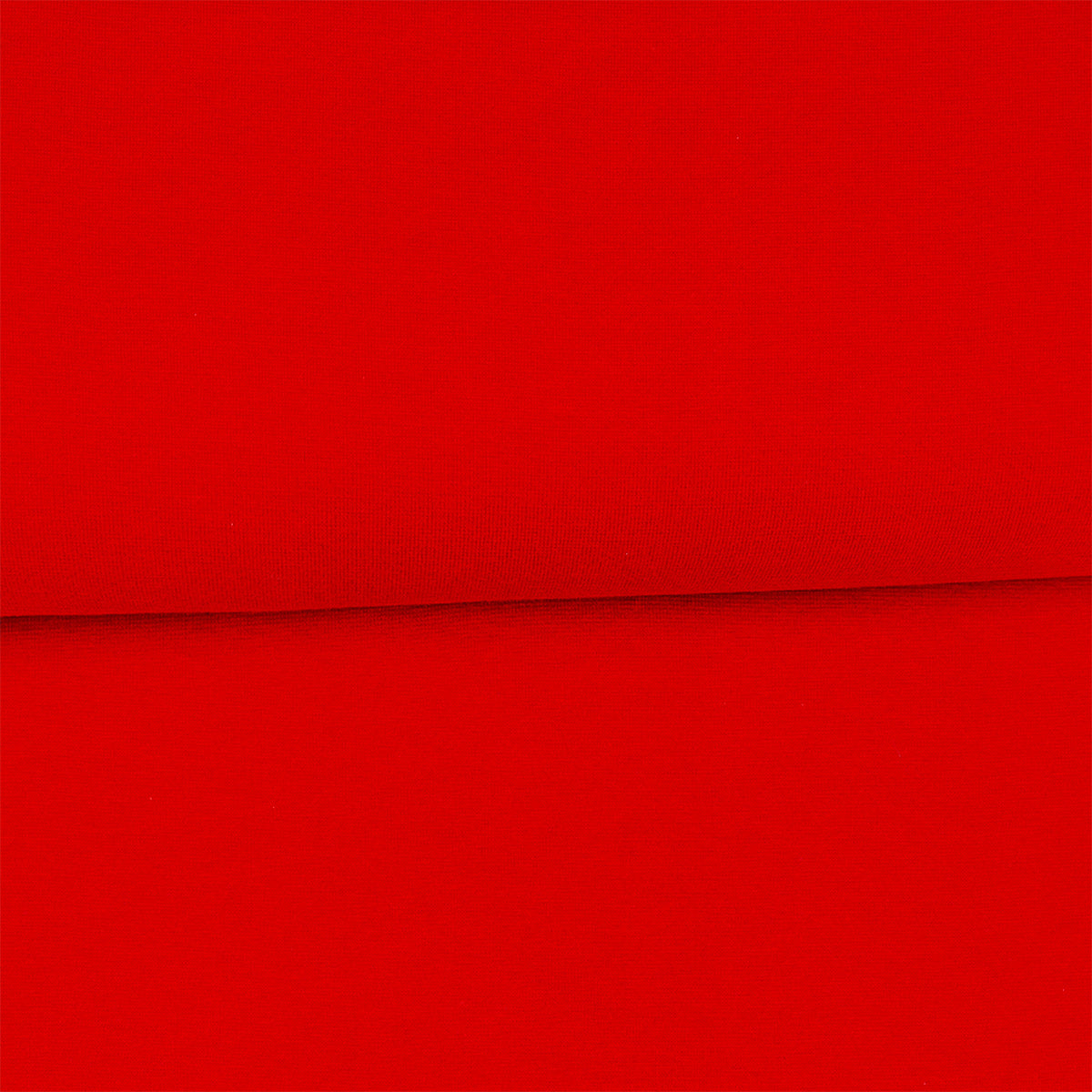 Tomate - Bord côte (ribbing) biologique