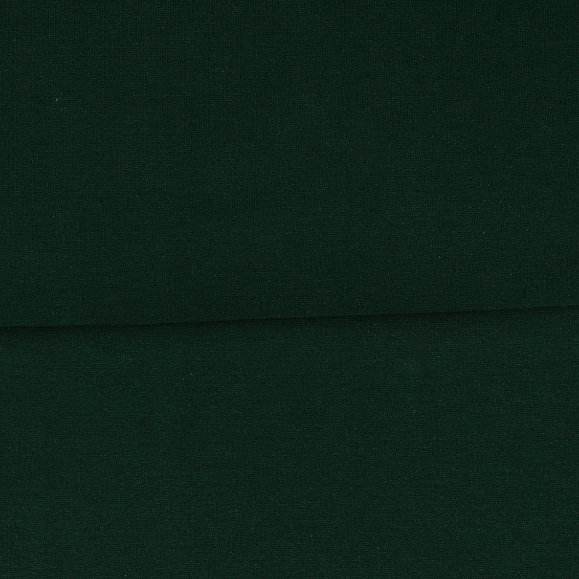 Vert forêt - Bord côte (ribbing) biologique