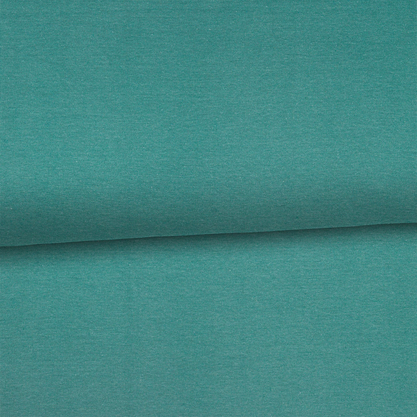 Vieux vert - Bord côte (ribbing) biologique