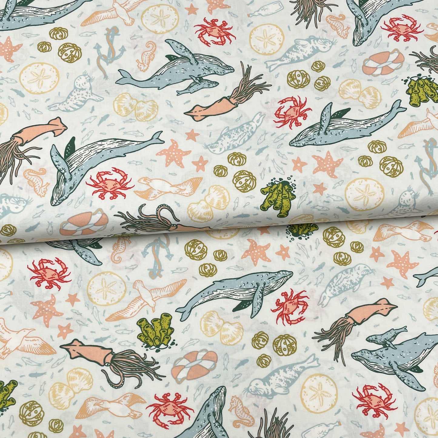 Fin de rouleau 36 cm - Côte sauvage bleu pâle - Birch Fabrics - Popeline imprimée biologique