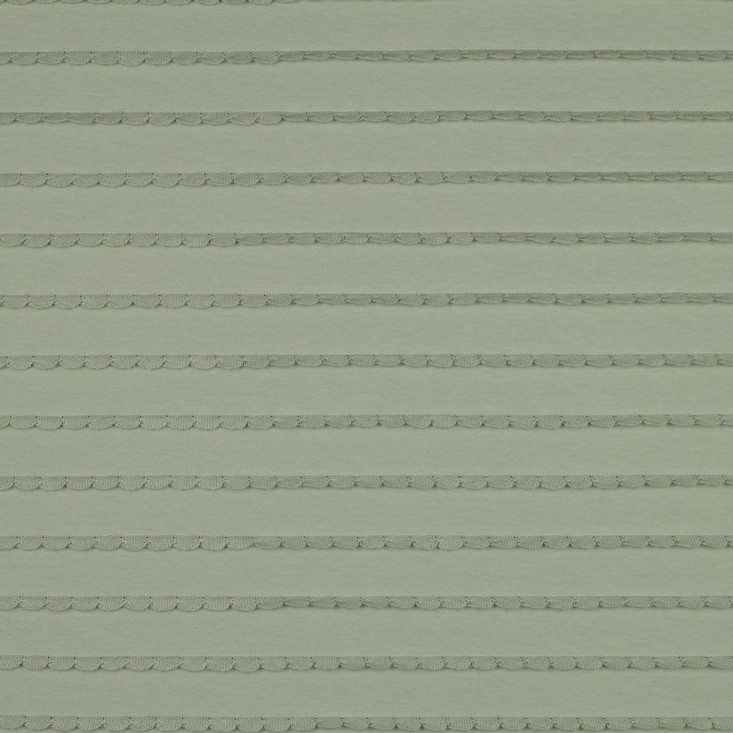 Sauge - Jersey dentelle