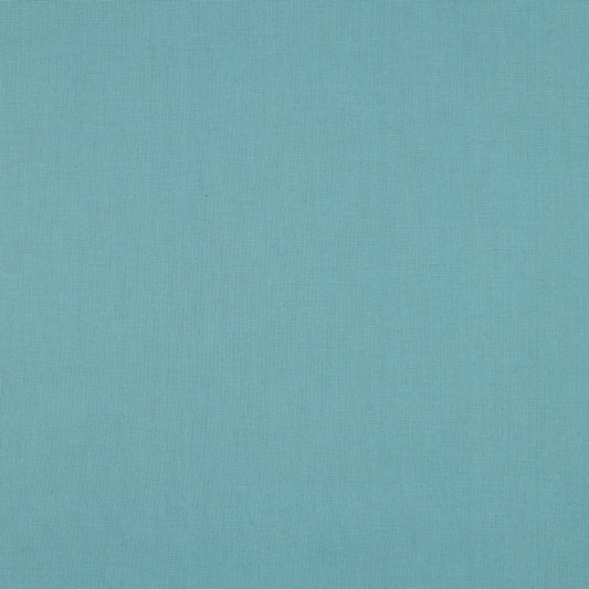 Pétrole pâle - Canevas uni