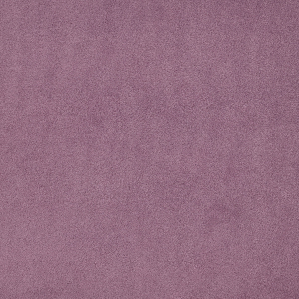 Lavender - Fleece anti-pilling