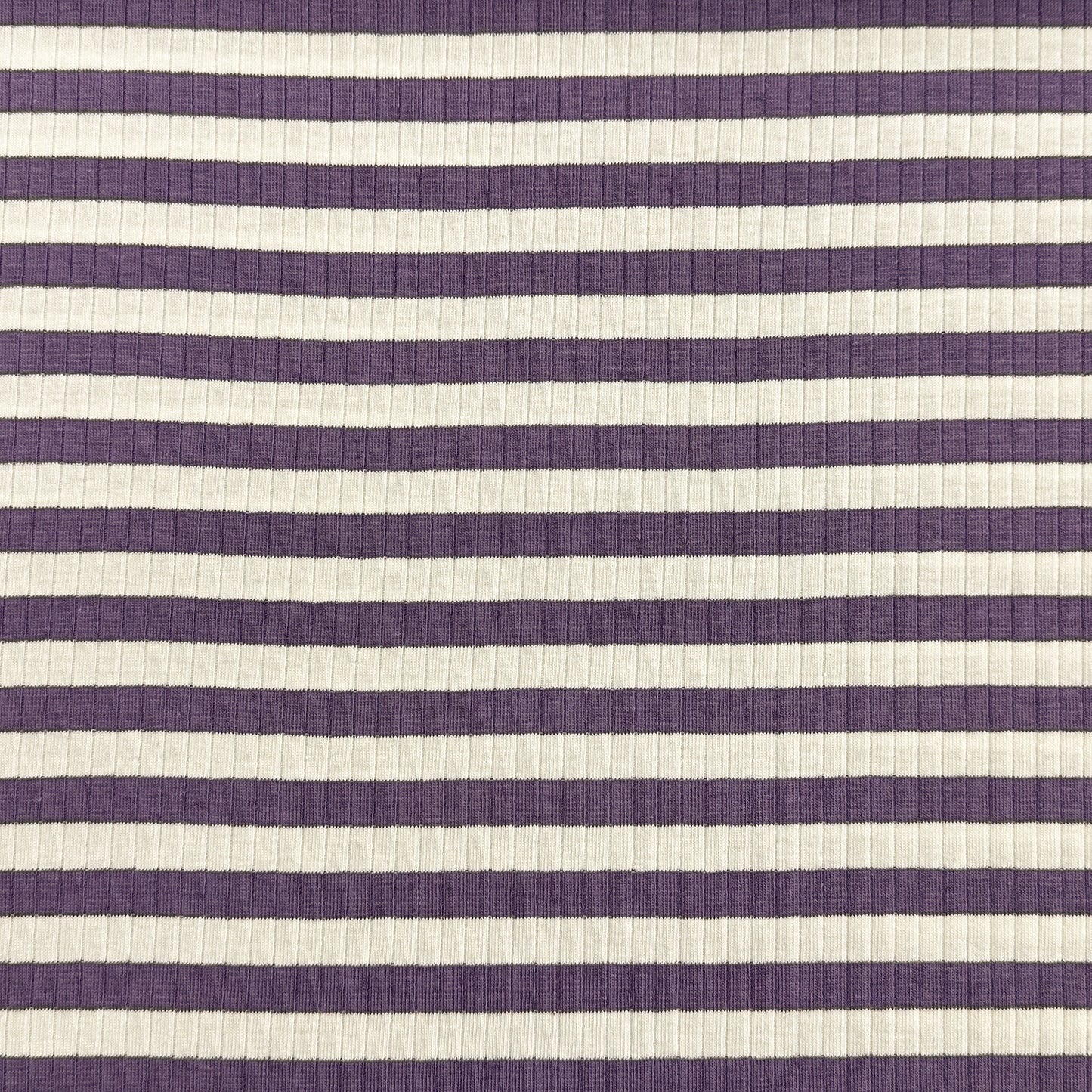 Ligné raisin/ecru - Printed ribbed jersey