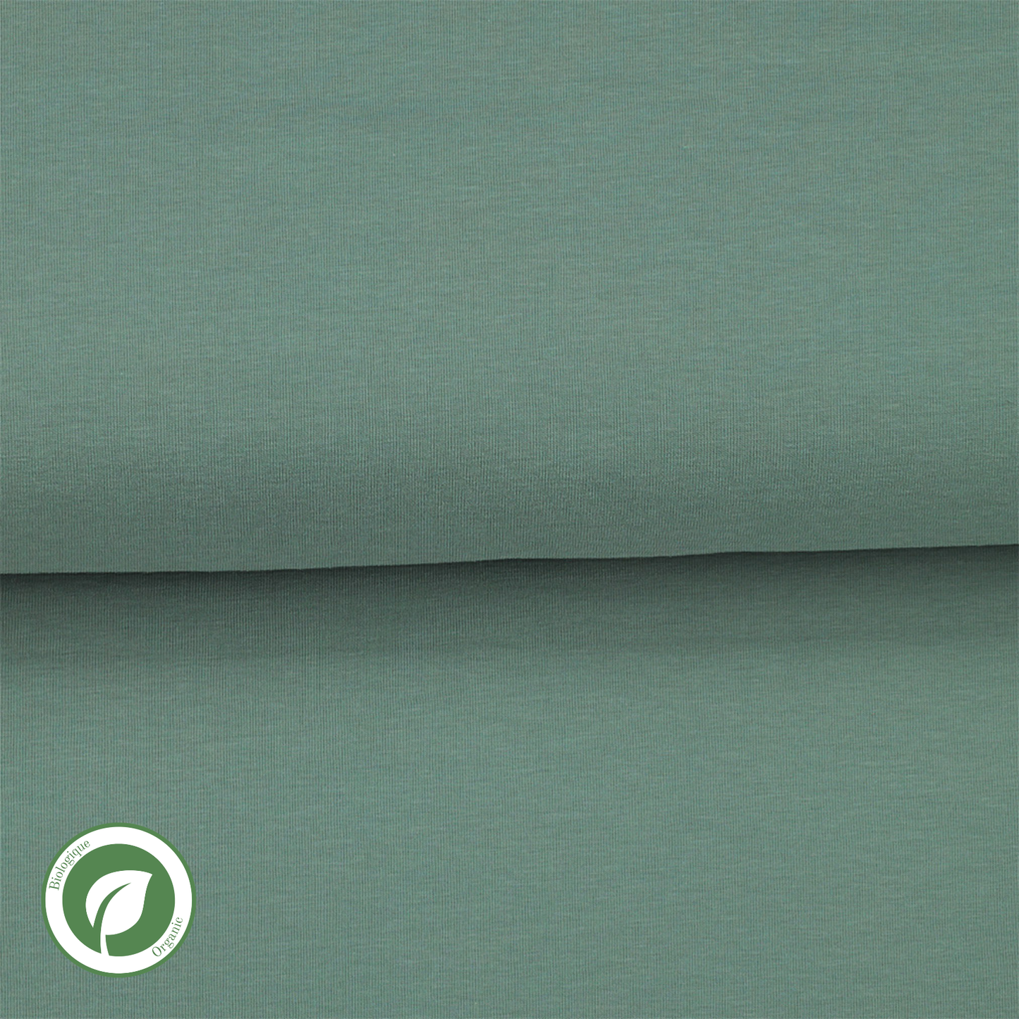 Celadon green - Organic solid jersey