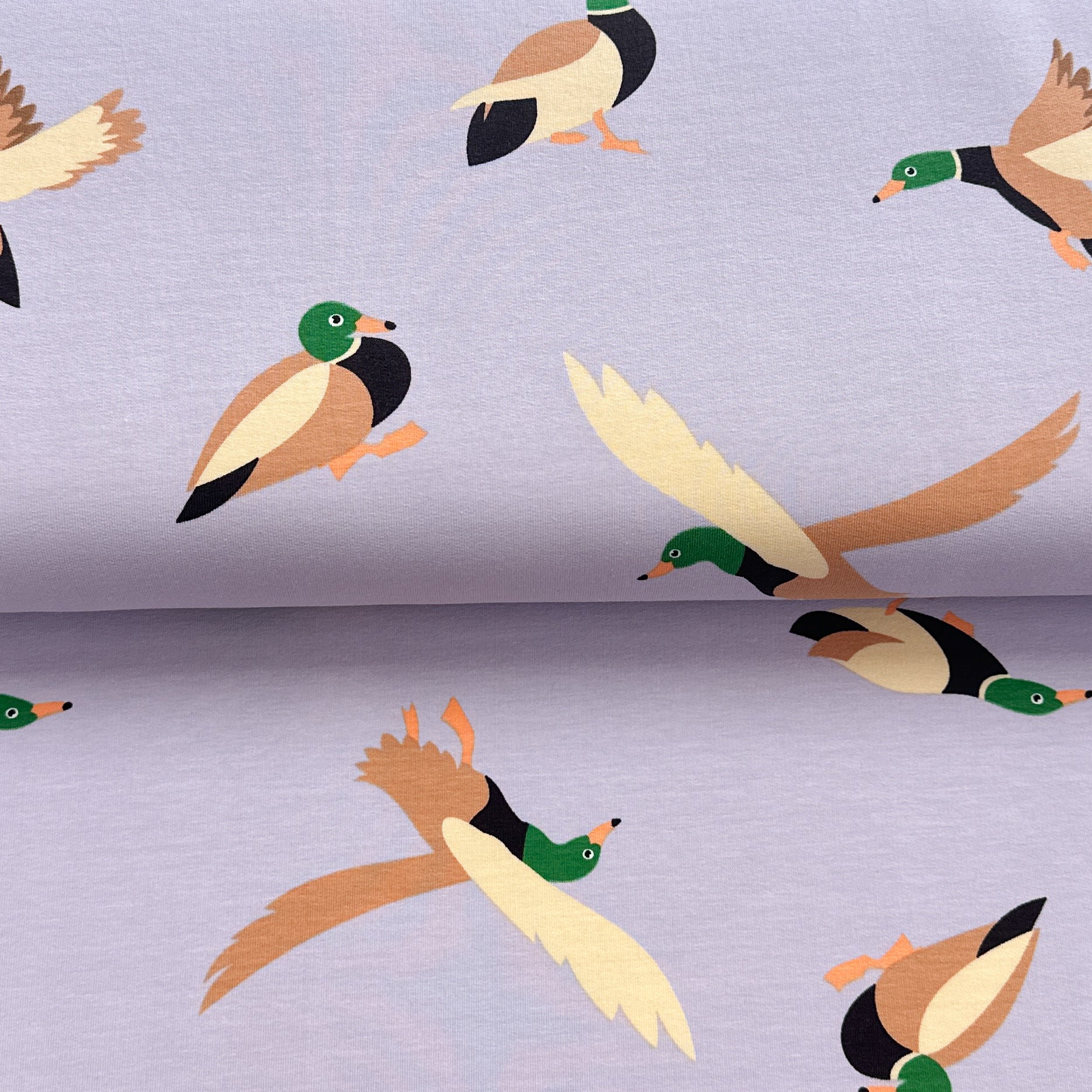 Canard lilas - French Terry imprimé