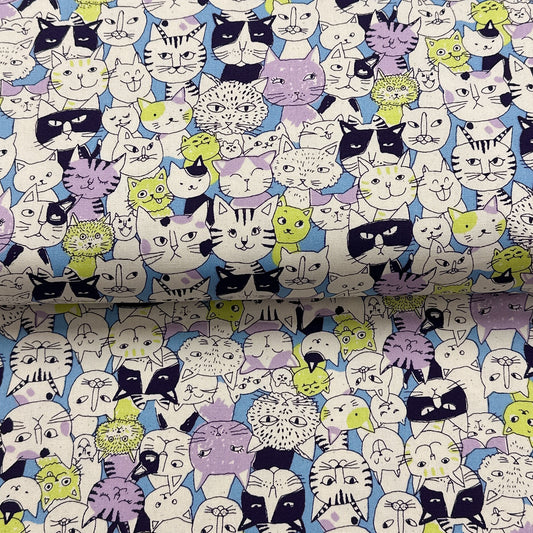 Chats bleu - Canevas imprimé