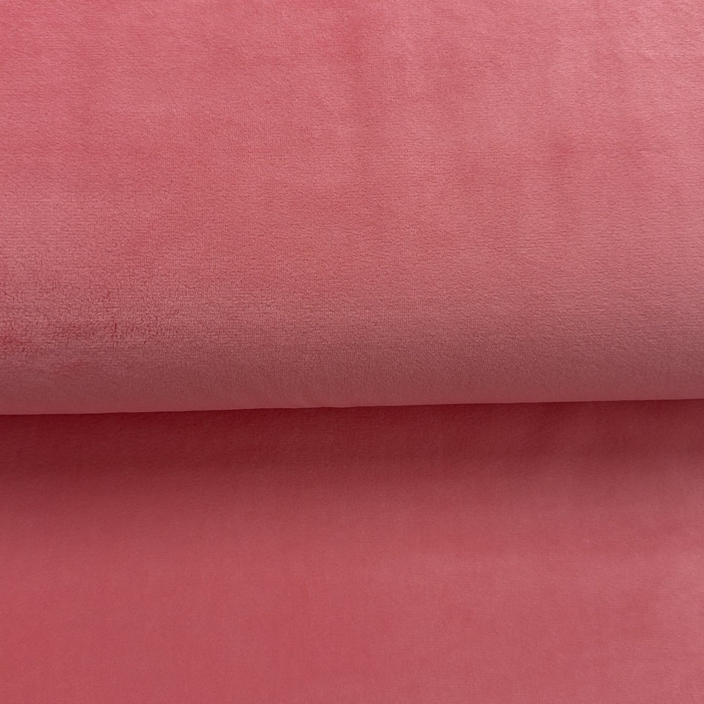 Coral Pink - Minky
