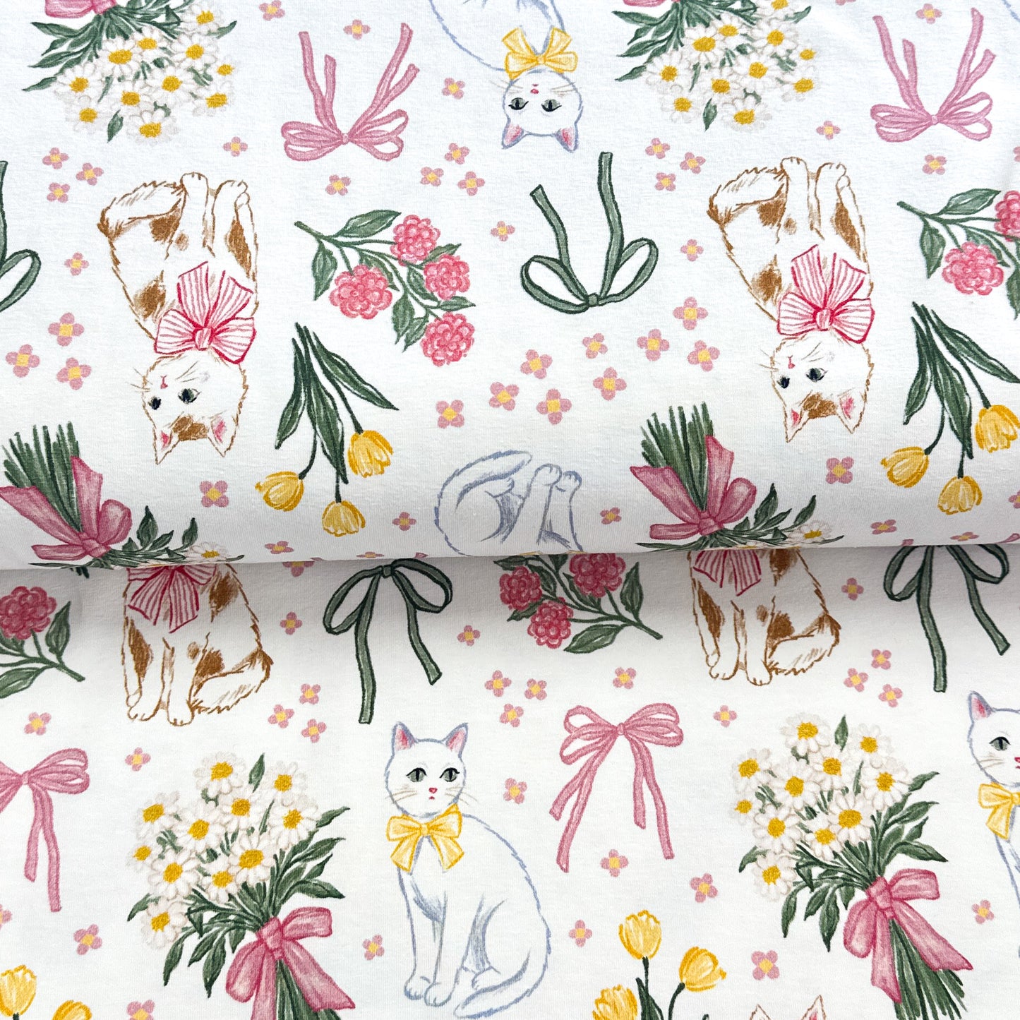 Chattes élégantes - NON NON OUI - Jersey imprimé