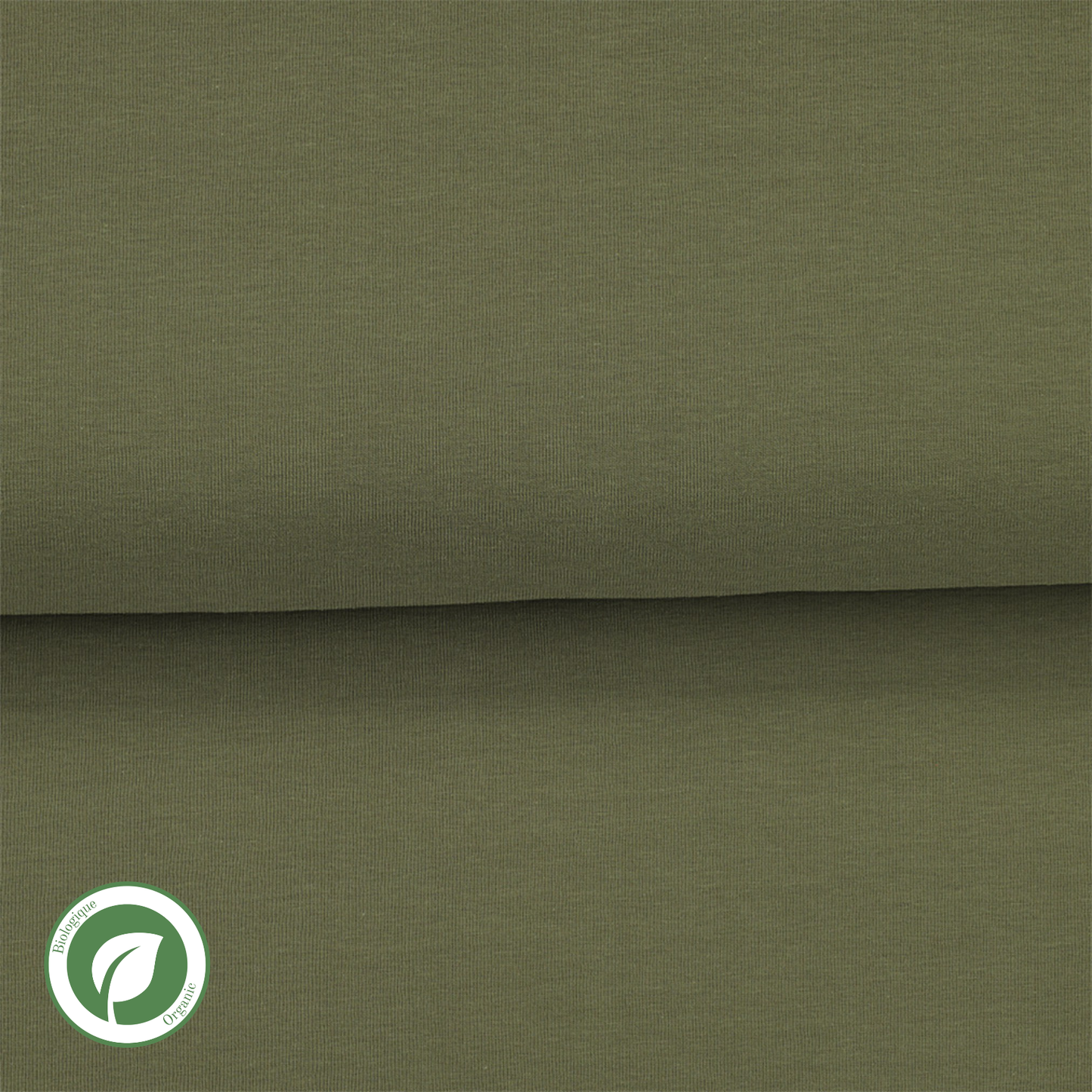 Olive - Jersey uni biologique