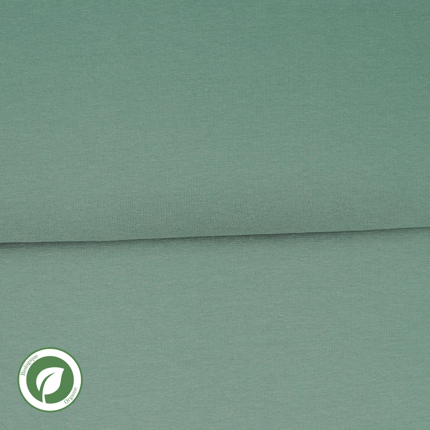 Celadon green - Organic ribbing