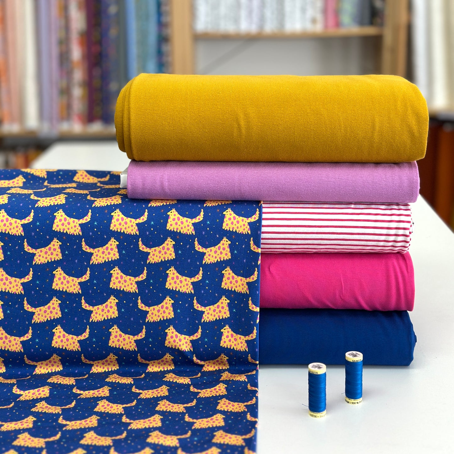 Chiens  - NON NON OUI - Jersey imprimé