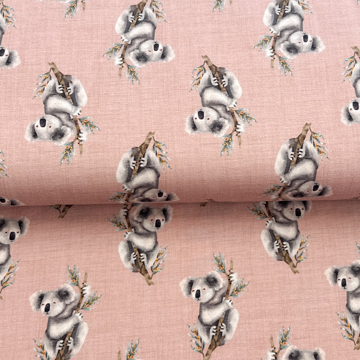 Koalas - NON NON OUI - Jersey imprimé