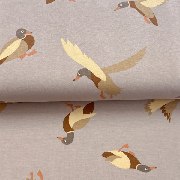 Canard sable - French Terry imprimé