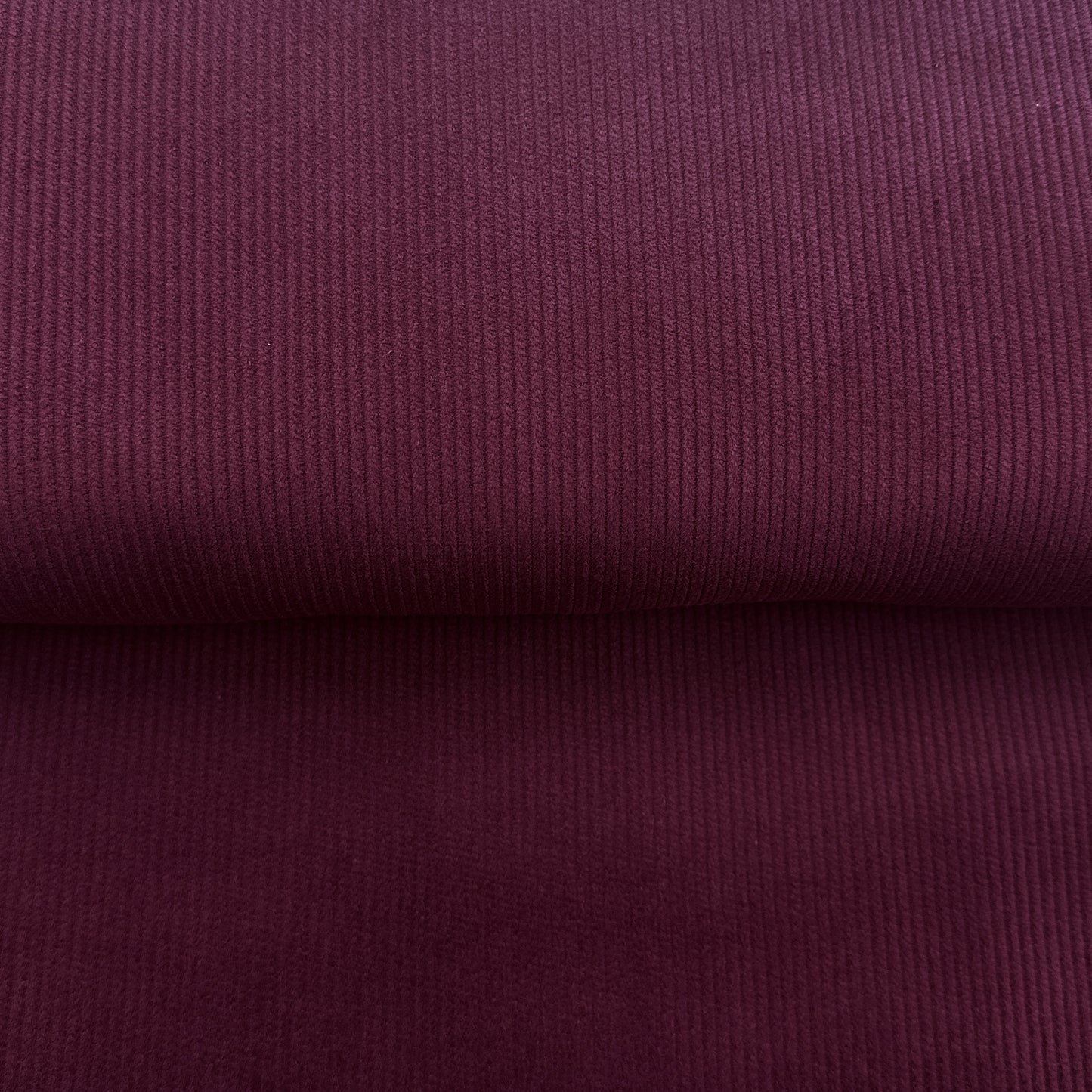 Violine - Corduroy 500 wales