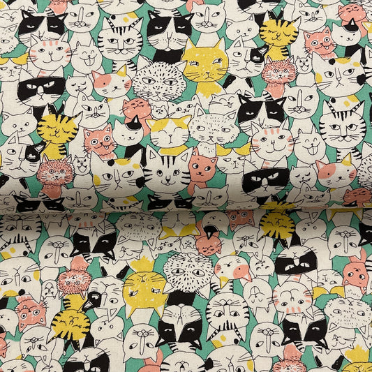 Chats menthe - Canevas imprimé