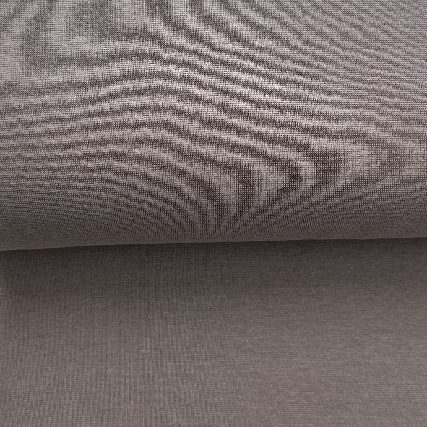 Gris souris - Bord côte (ribbing) biologique