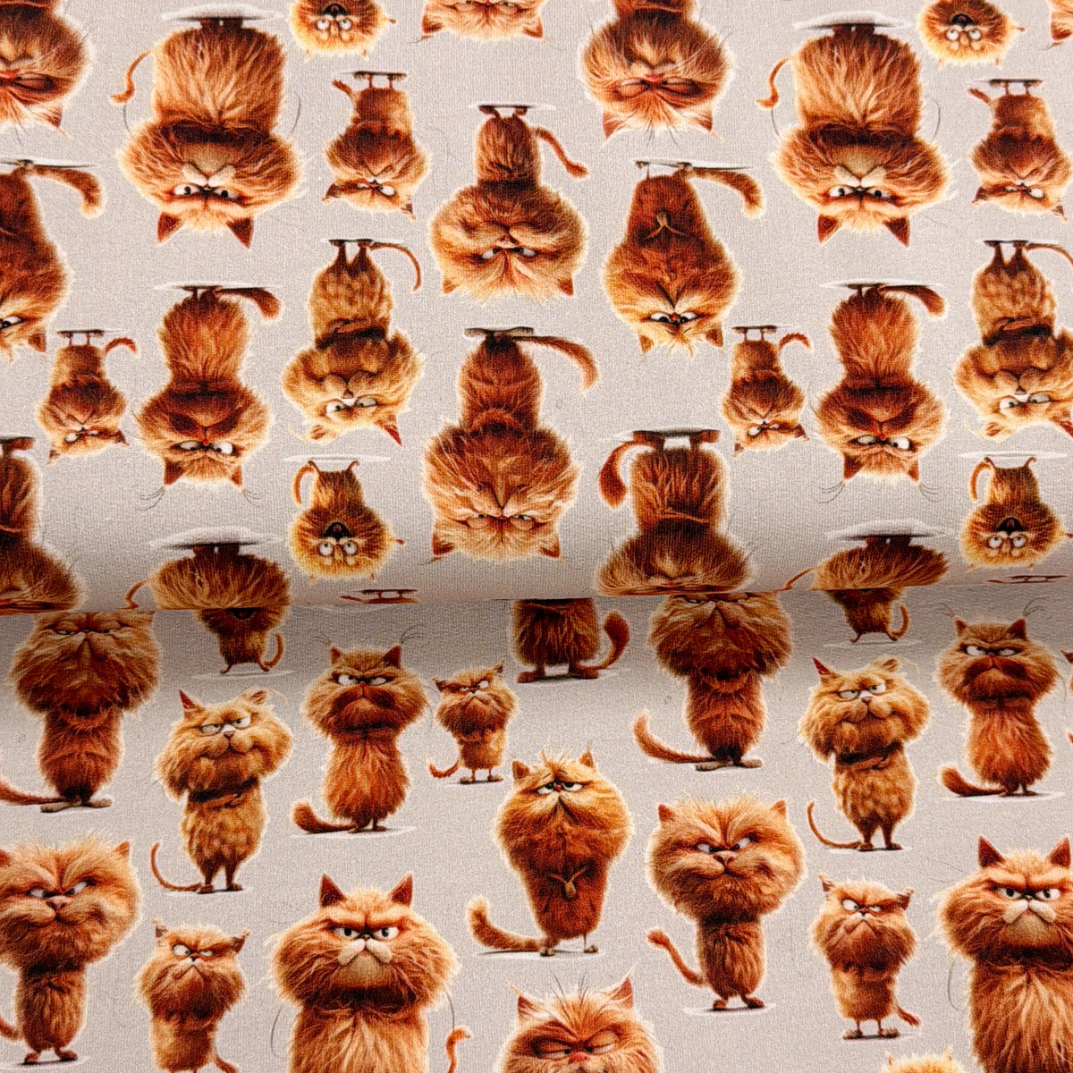 Chats grognons pâle - French Terry imprimé digital