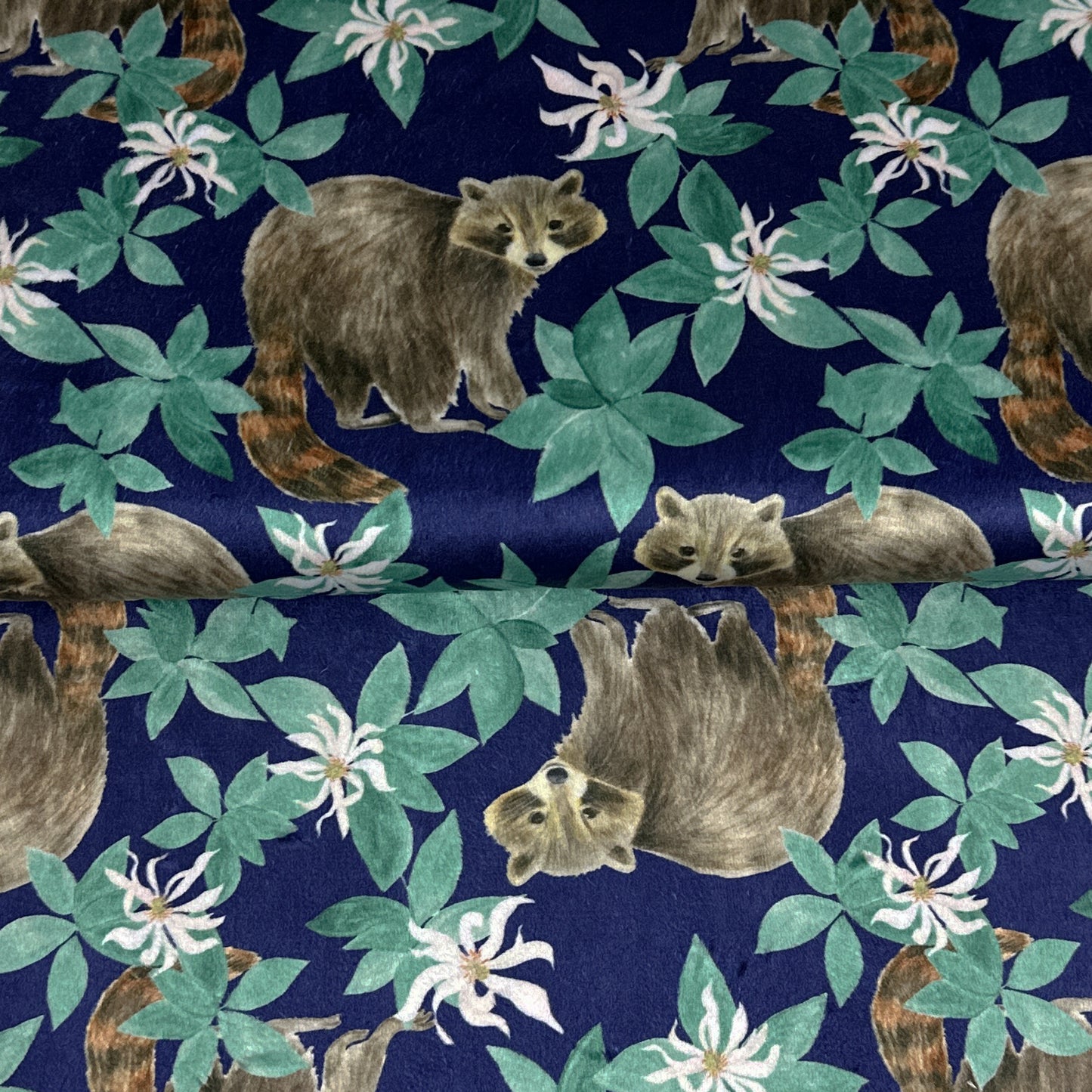 Fin end 50 cm - Blue Raccoons - Minky