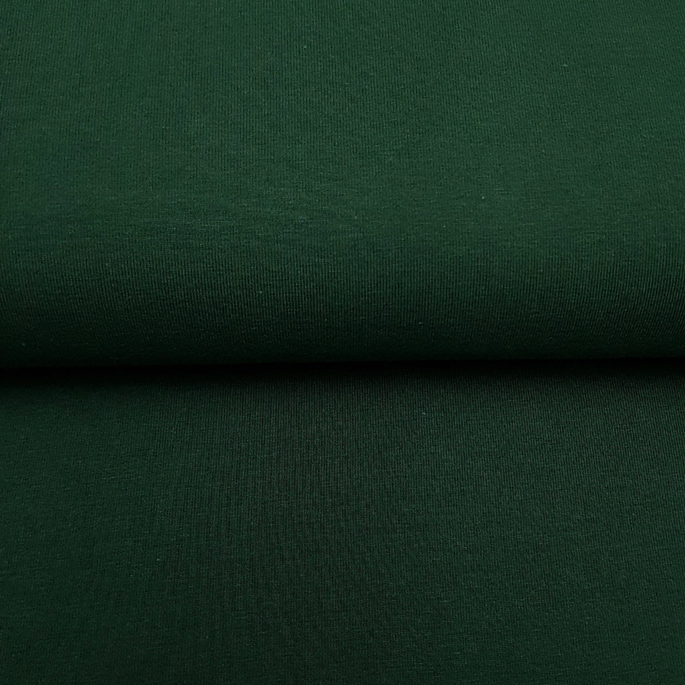 Forest Green - Solid organic jersey