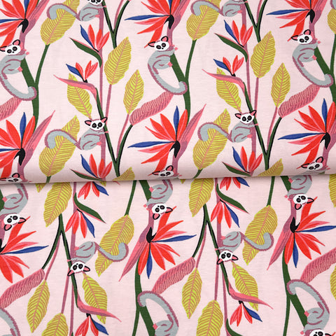 Lémurs - Katia Fabrics - Jersey imprimé