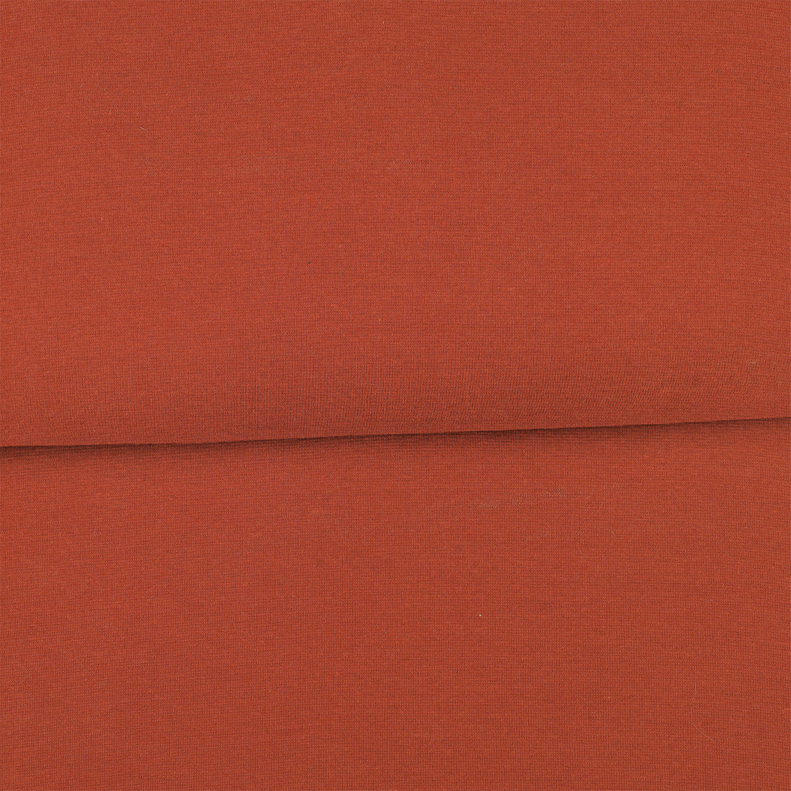 Burnt Orange - Organic ribbing