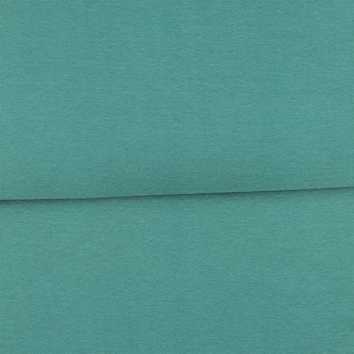 Vieux vert - Bord côte (ribbing) biologique